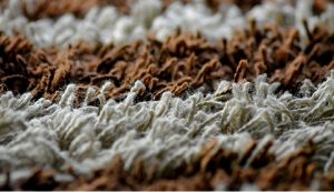 Axminster Woven